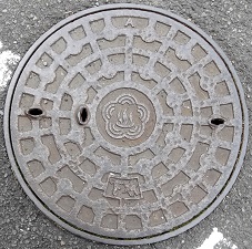 �M�C�s�}���z�[��