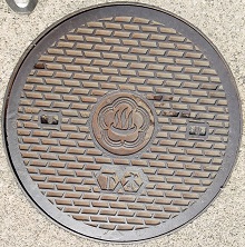 �M�C�s�}���z�[��