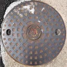 �M�C�s�}���z�[��