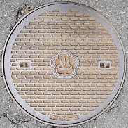 �M�C�s�}���z�[��