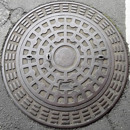 �M�C�s�}���z�[��