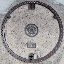 �M�C�s�}���z�[��