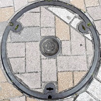 �M�C�s�}���z�[��