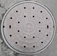 �D���s�}���z�[��