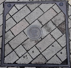 �D���s�}���z�[��