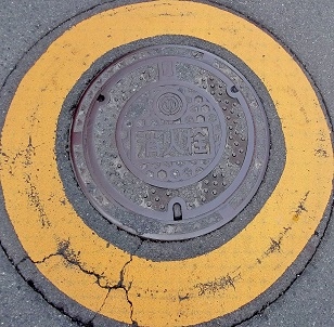 ��t���������ΐ�