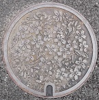 �O���s�}���z�[��