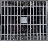 �O���s���a�W