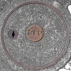 �O�Y�s�}���z�[��