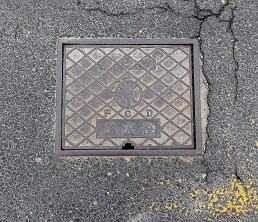 ��c�s���ΐ�