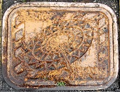 ����s���ΐ�