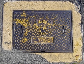 ���g�����ΐ�