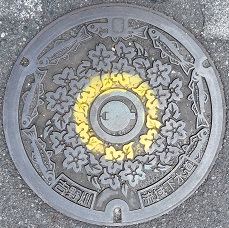 �ޗǌ��}���z�[��