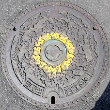 �ޗǌ��}���z�[��