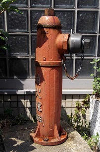 �g�쒬���̏�����