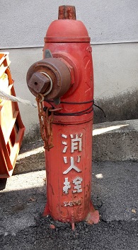 �g�쒬���̏�����