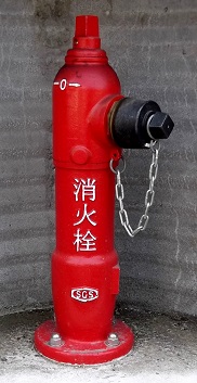 �g�쒬���̏�����