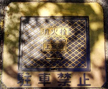 ���쒬���ΐ�