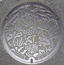 ���̒��}���z�[��