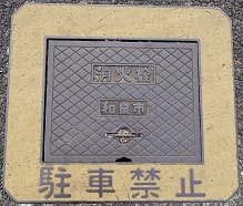 �a��s���ΐ�