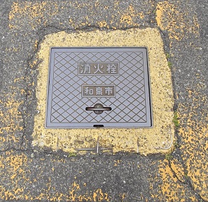 �a��s���ΐ�