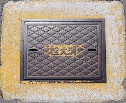 ��������ΐ�