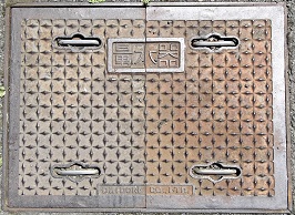 ������ʐ���