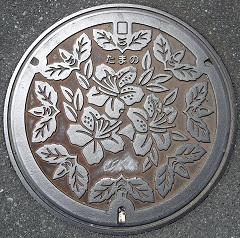 ‹Ê–ìŽsƒ}ƒ“ƒz[ƒ‹