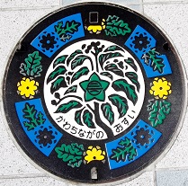 �͓�����s�}���z�[��