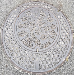 ��h���}���z�[��