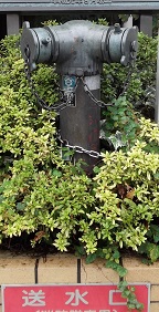 �����q�s������