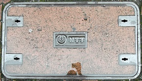 �m�s�s�}���z�[��