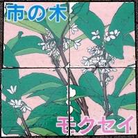 �����s����