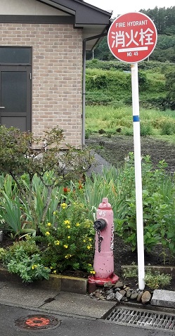 ��蒬���ΐ�