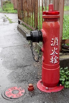 ��蒬���ΐ�