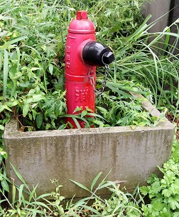 ��葺���̏��ΐ�