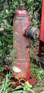 ��葺���̏��ΐ�