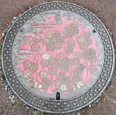 ���Β��}���z�[��