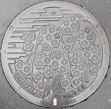 ���Β��}���z�[��