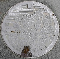 ���Β��}���z�[��