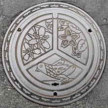 �S�R�s�}���z�[��