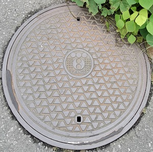 �����d�̓}���z�[��