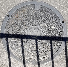 �����s�}���z�[��