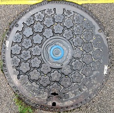 ���͎s�}���z�[��