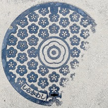 ���͎s�}���z�[��