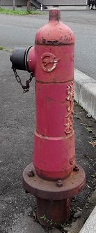 ���s���̏��ΐ�