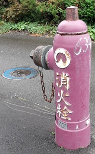 ���ʎR�����̏��ΐ�