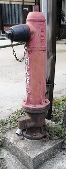 ���������̏��ΐ�