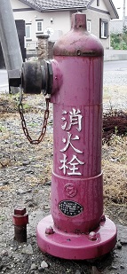 ������̏��ΐ�