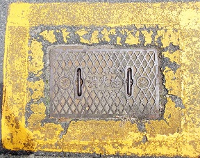 �Ďq�s���ΐ�